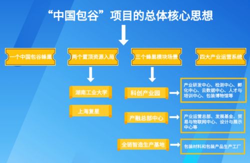 株洲推動食品與包裝產業對接，億元級標桿項目落地的全流程策劃與服務實踐