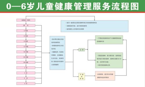 一文讀懂國家免費提供基本公共衛生服務項目 31項全覆蓋，健康福祉觸手可及